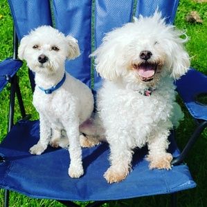 Meet your Posher, Victoria